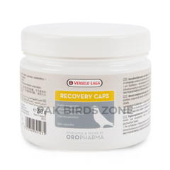 Recovery Caps – Protein & Energy Supplement for Pigeons