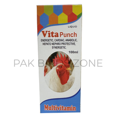 Vita Punch Liquid – Premium Synergetic Multivitamin, Liver & Kidney
