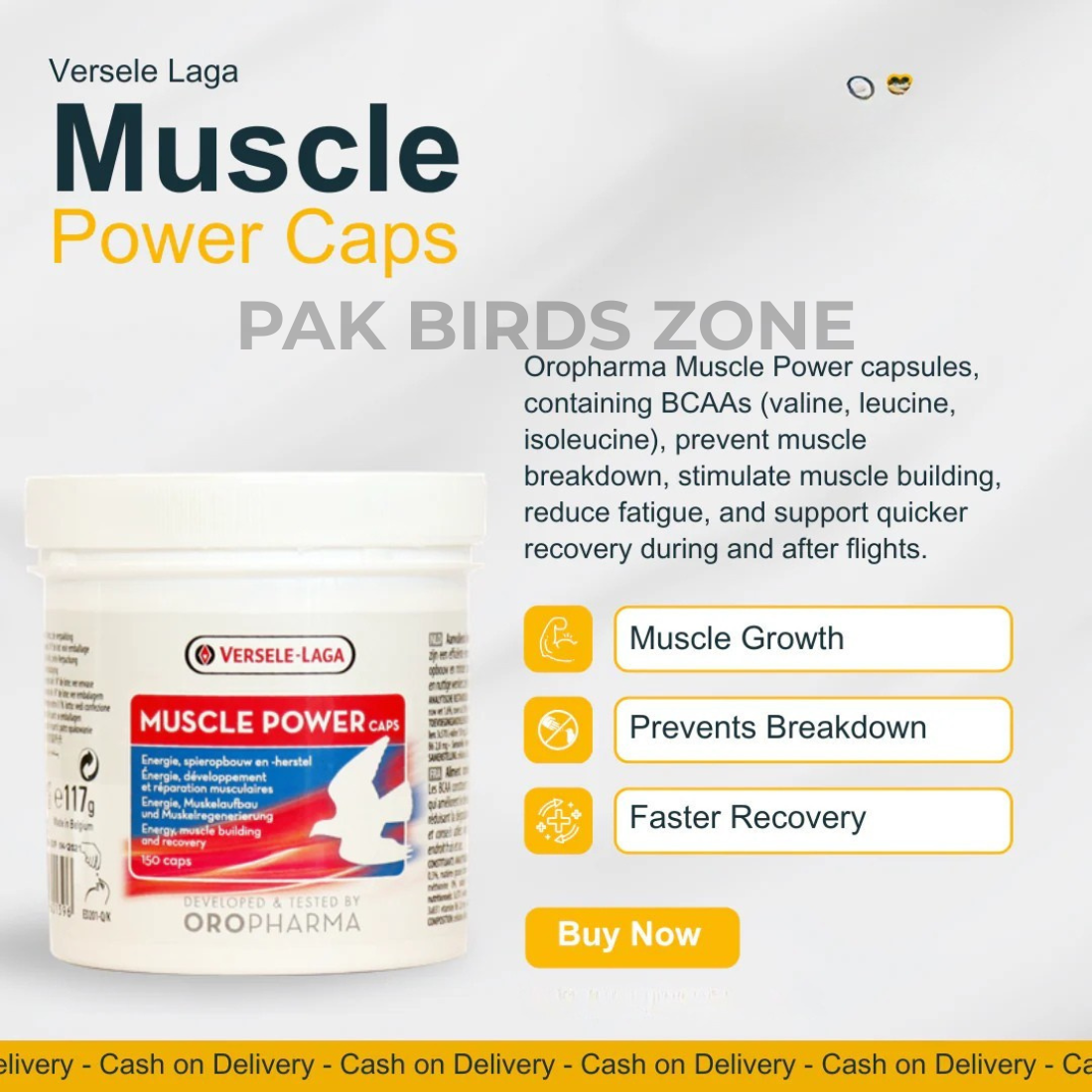 Muscle Power Caps - Performance & Recovery of Pigeons