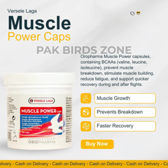 Muscle Power Caps - Performance & Recovery of Pigeons