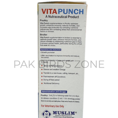 Vita Punch Liquid – Premium Synergetic Multivitamin, Liver & Kidney